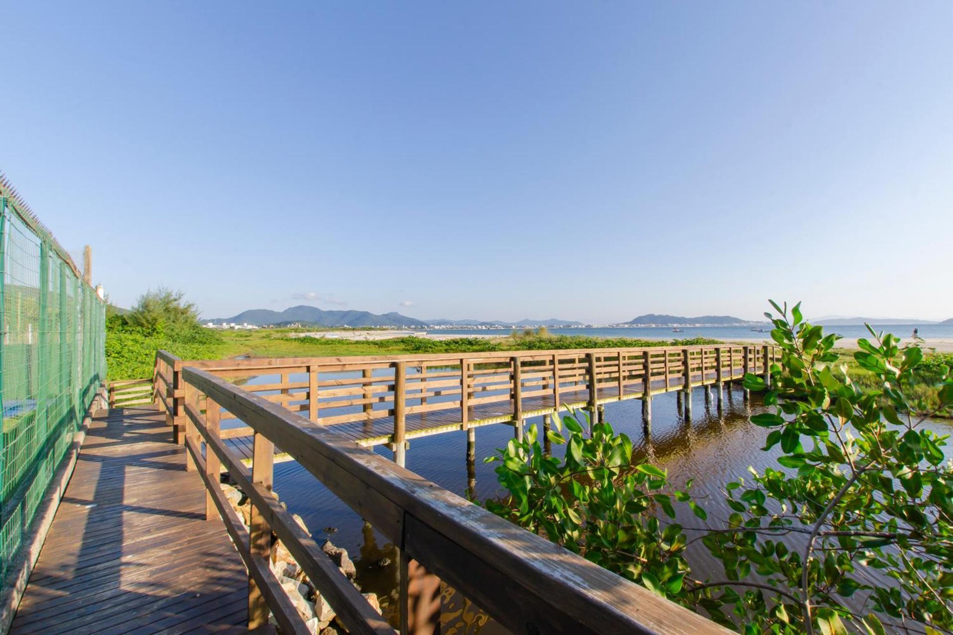 Apartment Apto Pe Na Areia Em Com Piscina N1298 *